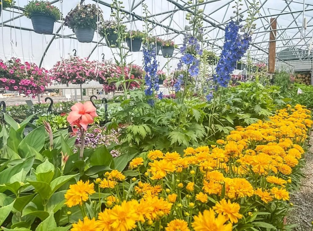 An Amish roadtrip through Hart County Kentucky Hart County Tourism